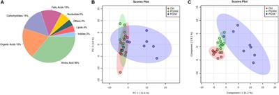 Identification of Serum-Based Metabolic Feature and Characteristic Metabolites in Paraquat Intoxicated Mouse Models